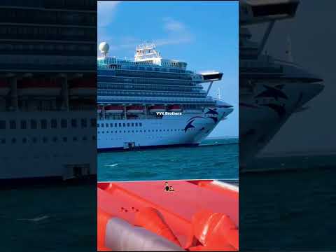 Thumbnail for P&O Sea cruiser#seacruise#boarding the ship#sydney#carnival adventure#ship#travel#naturephotography