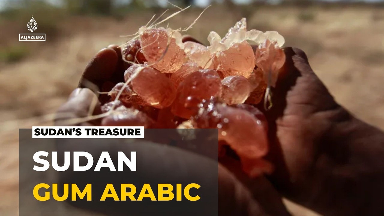 Sudan export at risk: Conflict has disrupted production of Gum Arabic