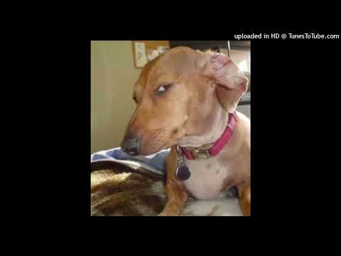 [FREE] PATOTRAP X YOUNG POLICJA X MŁODY STARY TYPE BEAT "PODEJRZANY" (prod. twoj stary)