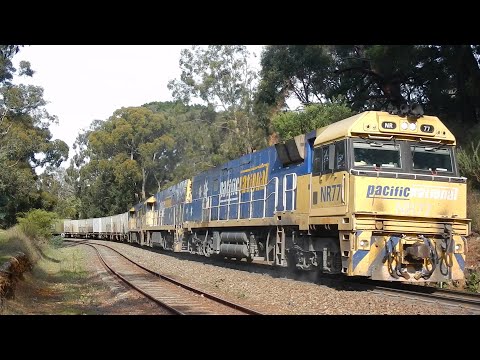 PN Steel/Intermodal Freight 1MP2 powers up through Mt Lofty - 08/06/2020