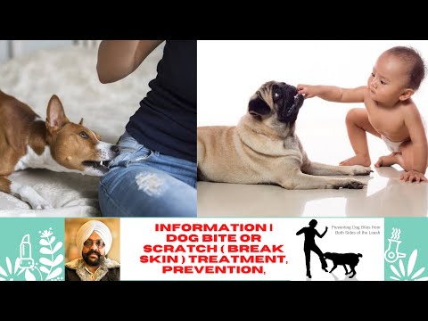 Dog Bite or Scratch ( Break Skin ) Treatment, Prevention ...