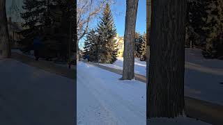 Beautiful winter-30 ❄ #foryou  #canada #winter #heritagevillage #heritagepark #shorts