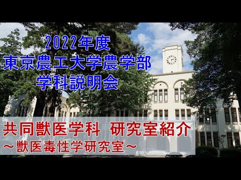 2022年度東京農工大学農学部　学科説明会　共同獣医学科　研究室紹介　～獣医毒性学研究室～