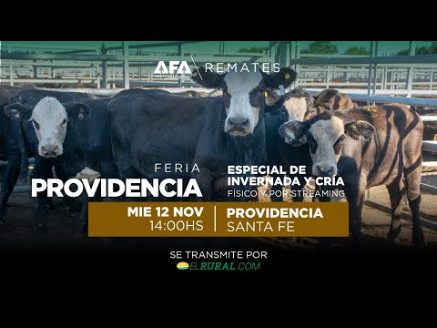 Remate AFA Especial de Invernada y Cría desde Providencia Santa Fe