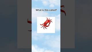 Download lagu ⚡️Powerful English Words You MUST Know! 💡🗣️ #Shorts #english #trending mp3 Download lagu ⚡️Powerful English Words You MUST Know! 💡🗣️ #Shorts #english #trending mp3