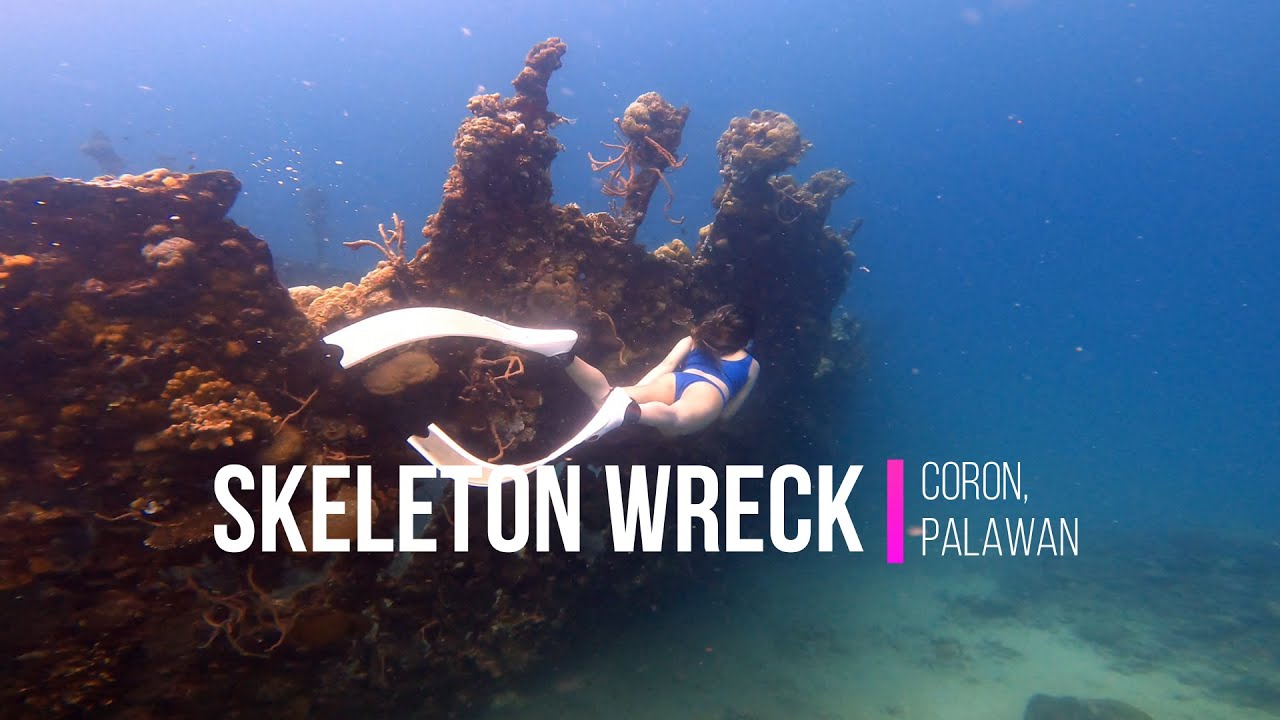Experience a captivating glimpse of Skeleton Wreck.