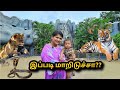 Chennai Zoo Like This Ah Tourist Places In Chennai Vera Mariiiii