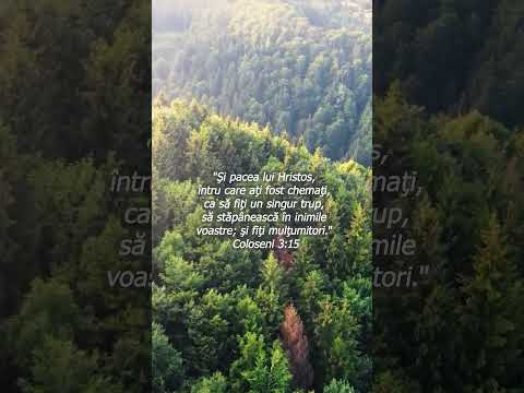 Epistola către Coloseni a lui Pavel 3:15 Şi pacea lui Hristos, întru care aţi fost chemaţi #creștini