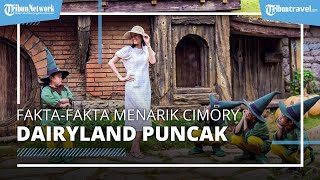 Tak Banyak yang Tahu, Ini 5 Fakta Menarik dari Wisata Populer Cimory Dairyland Puncak di Bogor