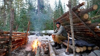Freezing Winter Camping Alone - Bushcraft Shelter & No Sleeping Bag