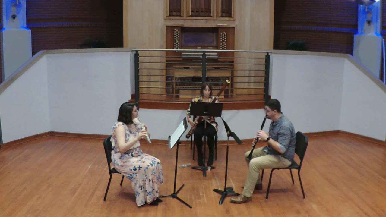 Promotional video thumbnail 1 for Kassandra Bassoon