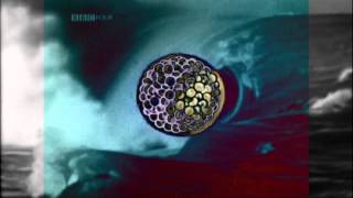 THE DELPHIC CULT: THE MYSTERY OF WAVES AND INFINITE HALVES PART I