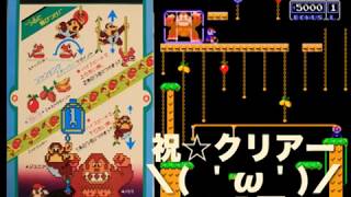 ドンキーコングJr　実況 ほぼ初見プレイ GameBar Vanguard#001　※初編集投稿のため音量が小さいです。ボリュームを上げてご視聴下さいm(_ _)m