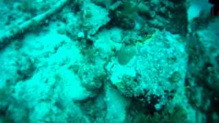 keylargo oct 11.wmv