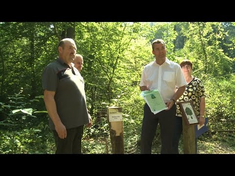 Pritzwalk: Landrat Torsten Uhe pflanzte Winterlinde