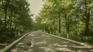 Aphex Twin - Girl/Boy Song