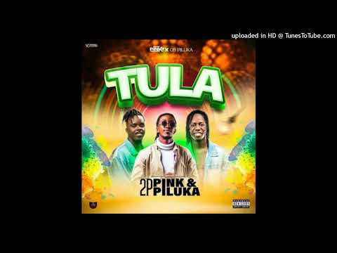 Pink 2 Toques & Ruth Piluka - Tula (Afro House) Jack News