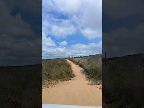 desbravando a caatinga Caetanos BA