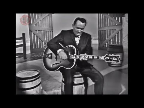 Thumbnail for Don Gibson - A Born Loser 1965 by Don Gibson