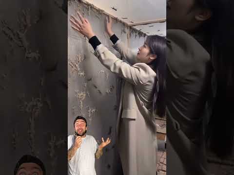 ferma de soparle Geko