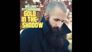 William Fitzsimmons - Gold in the shadow (2011)
