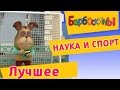 Барбоскины - Наука и Спорт (мультфильм) 