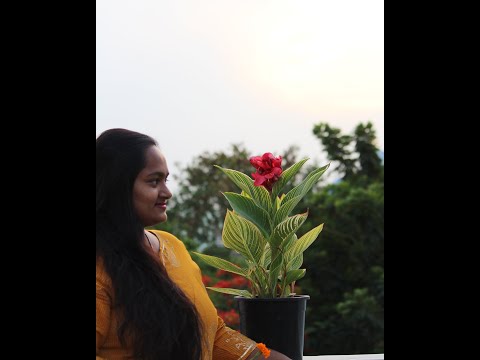 Introduction Video Of Terrace Gardening By Kiranmai
