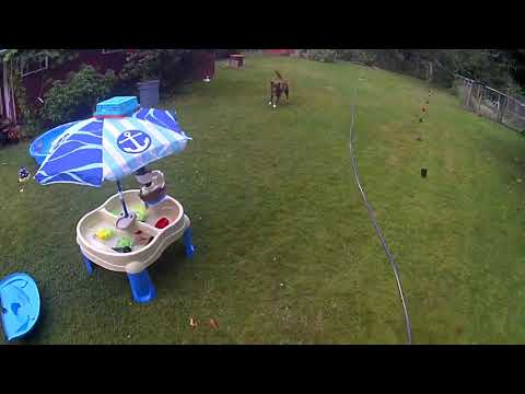 Falcon 1808 Quadcopter