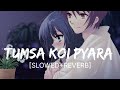 Tumsa Koi Pyara Kumar Sanu Slowed Reverb Hindi Lofi Song