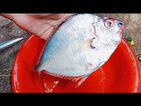 Common Ponyfish Fish Cutting