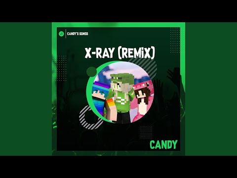 X-RAY (feat. AwesomeElina & Flauschi) (Remix)