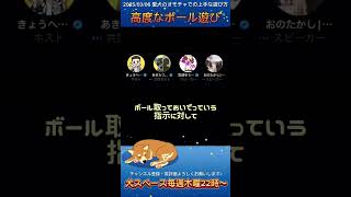犬との遊び！ボールもってきて！はめちゃくちゃ難しい？？ #犬を飼うということ #大型犬のいる生活