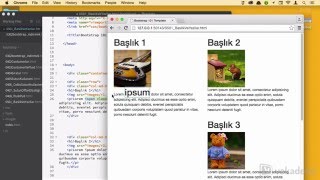 Bootstrap Başlangıç Rehberi -  Bootstrap'te Başlık ve Yazı Özellikleri