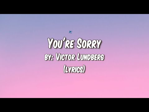 A song by Victor Lundberg- You’re Sorry ft. Astyn Turr with lyrics