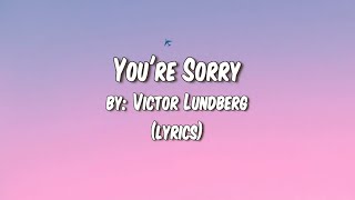 A song by Victor Lundberg- You’re Sorry ft. Astyn Turr with lyrics