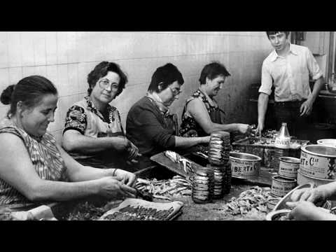 Les anchois de Collioure - Collioure Côte Vermeille