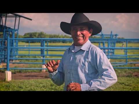 Video Llanero 3
