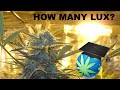 How Many Lux Does Cannabis NEED At Canopy? + Digital Illuminance Meters Overview