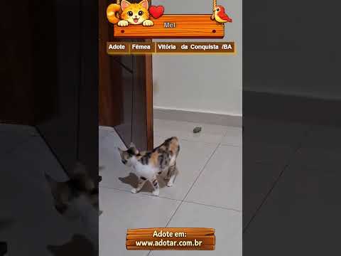 Vídeo de Mel