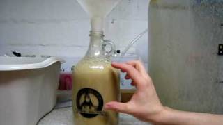 One way you can Harvest Yeast for homebrewing.