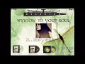 Delerium  - Window To Your Soul