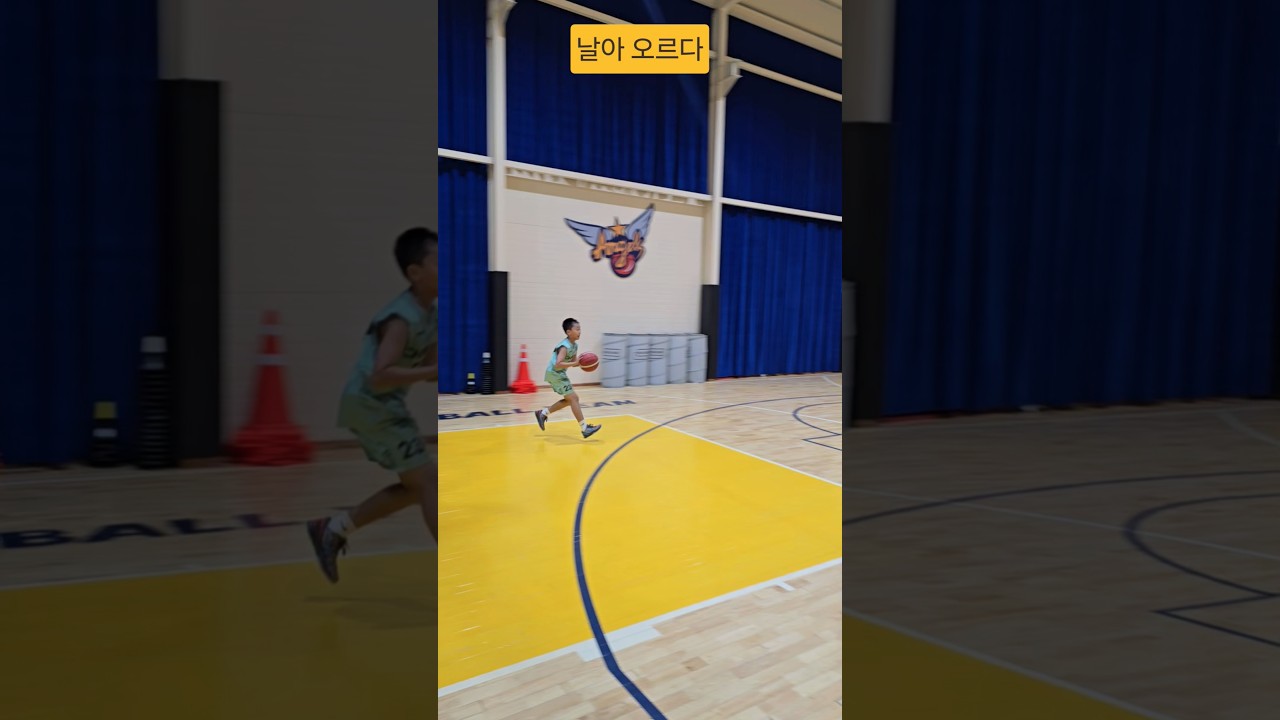 결국해내는~#날아올라 #농구 #프로농구 #국가대표 #nba #쇼츠 #shorts #southkorea #kbl #스킬트레이닝 #도전 #피땀눈물 #엘리트 아이들과가족들이웃는그날까지~
