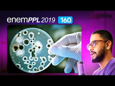 Question 160 - Blue Booklet | Plane Geometry | MATHEMATICS ENEM PPL 2019