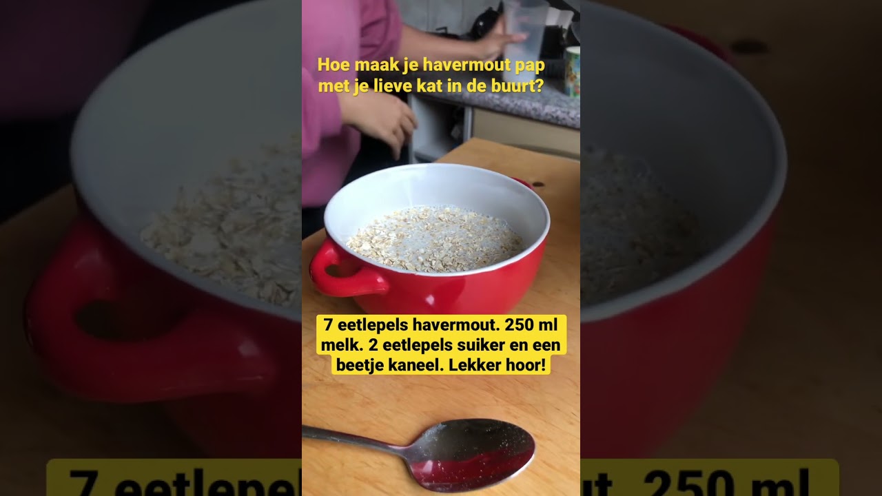 Havermout pap in de magnetron maken. AIVE TV #short #shorts #havermout #melk #kat#kitten