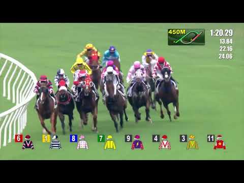 1/10/2022 (55) Owners' Star - V Borges