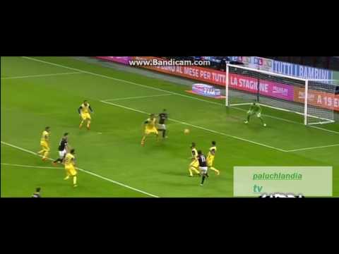 Cesare Bovo Welcome to Paluchland Team + Favorite players #7