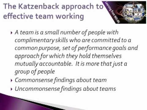 Leadership in Action - Session 5: Effective team leadership