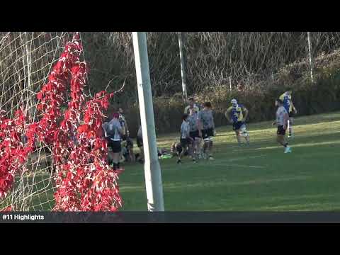 VII Torino 22 - 48 Verona: match highlights