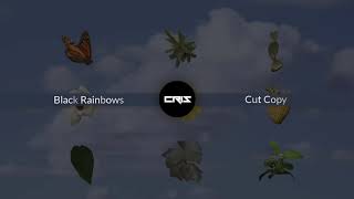Black Rainbows - Cut Copy | Letics | Español / Ingles