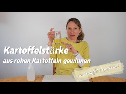 Research with us! A potato experiment: The strong potato - Extracting potato starch